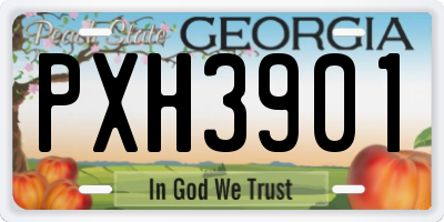 GA license plate PXH3901