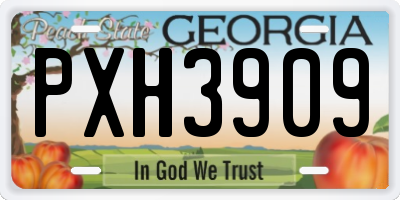 GA license plate PXH3909