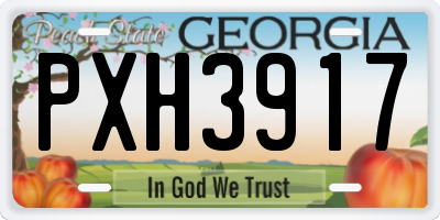 GA license plate PXH3917