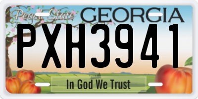 GA license plate PXH3941