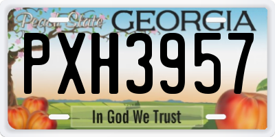 GA license plate PXH3957