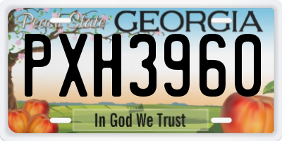 GA license plate PXH3960