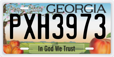 GA license plate PXH3973