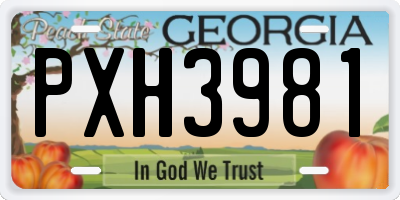 GA license plate PXH3981
