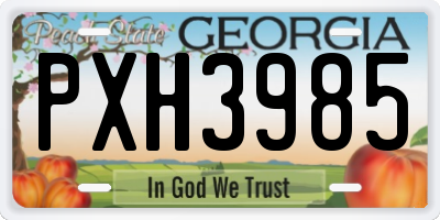 GA license plate PXH3985