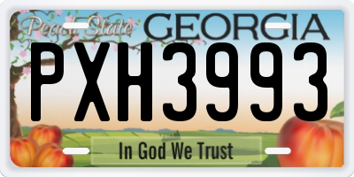 GA license plate PXH3993