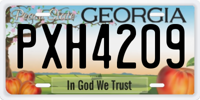 GA license plate PXH4209