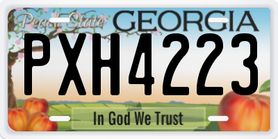 GA license plate PXH4223