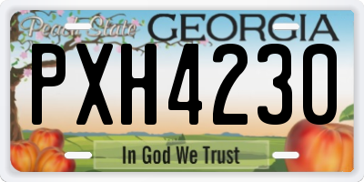 GA license plate PXH4230