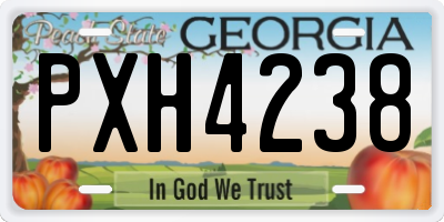 GA license plate PXH4238