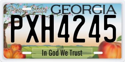 GA license plate PXH4245