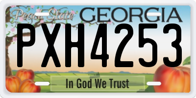 GA license plate PXH4253