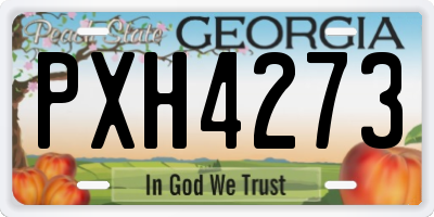 GA license plate PXH4273