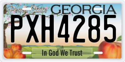 GA license plate PXH4285