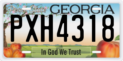 GA license plate PXH4318