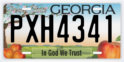 GA license plate PXH4341