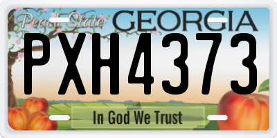 GA license plate PXH4373
