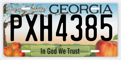 GA license plate PXH4385
