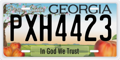 GA license plate PXH4423