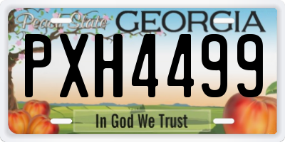 GA license plate PXH4499