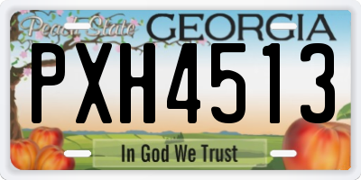 GA license plate PXH4513