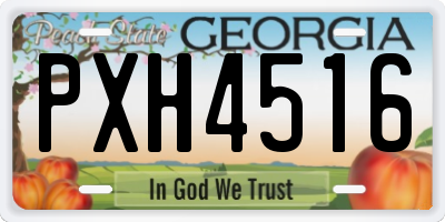 GA license plate PXH4516