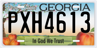 GA license plate PXH4613