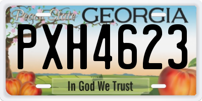 GA license plate PXH4623