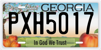 GA license plate PXH5017