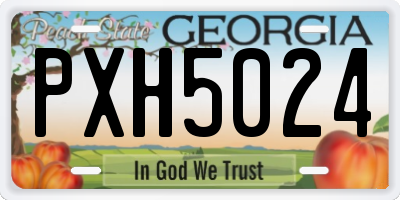 GA license plate PXH5024