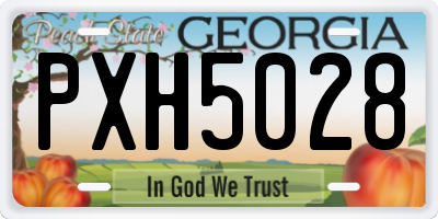 GA license plate PXH5028