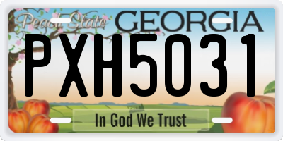 GA license plate PXH5031