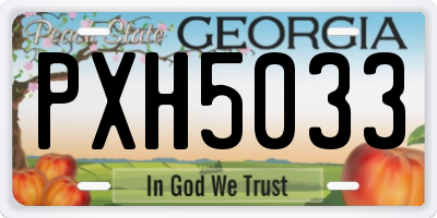 GA license plate PXH5033