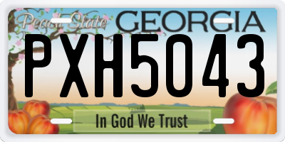 GA license plate PXH5043