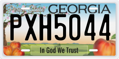 GA license plate PXH5044