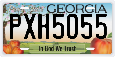 GA license plate PXH5055