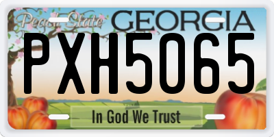GA license plate PXH5065