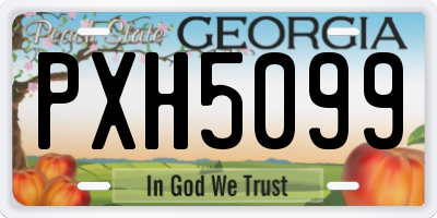 GA license plate PXH5099