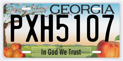 GA license plate PXH5107