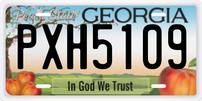 GA license plate PXH5109