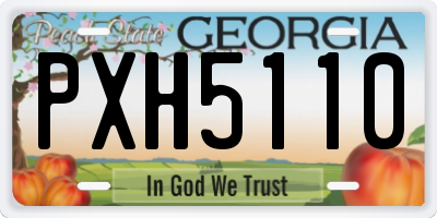 GA license plate PXH5110