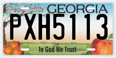 GA license plate PXH5113
