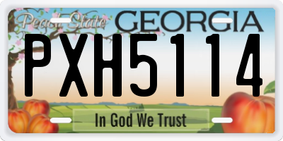 GA license plate PXH5114