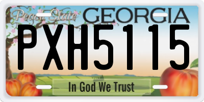 GA license plate PXH5115