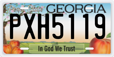 GA license plate PXH5119