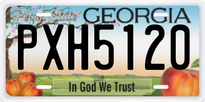 GA license plate PXH5120