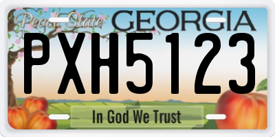 GA license plate PXH5123