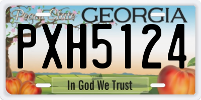 GA license plate PXH5124