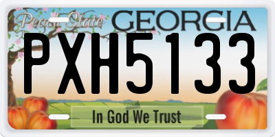 GA license plate PXH5133