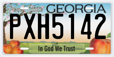GA license plate PXH5142